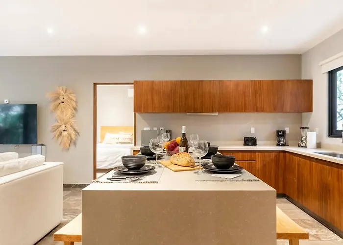 Casa Serfin Apartment